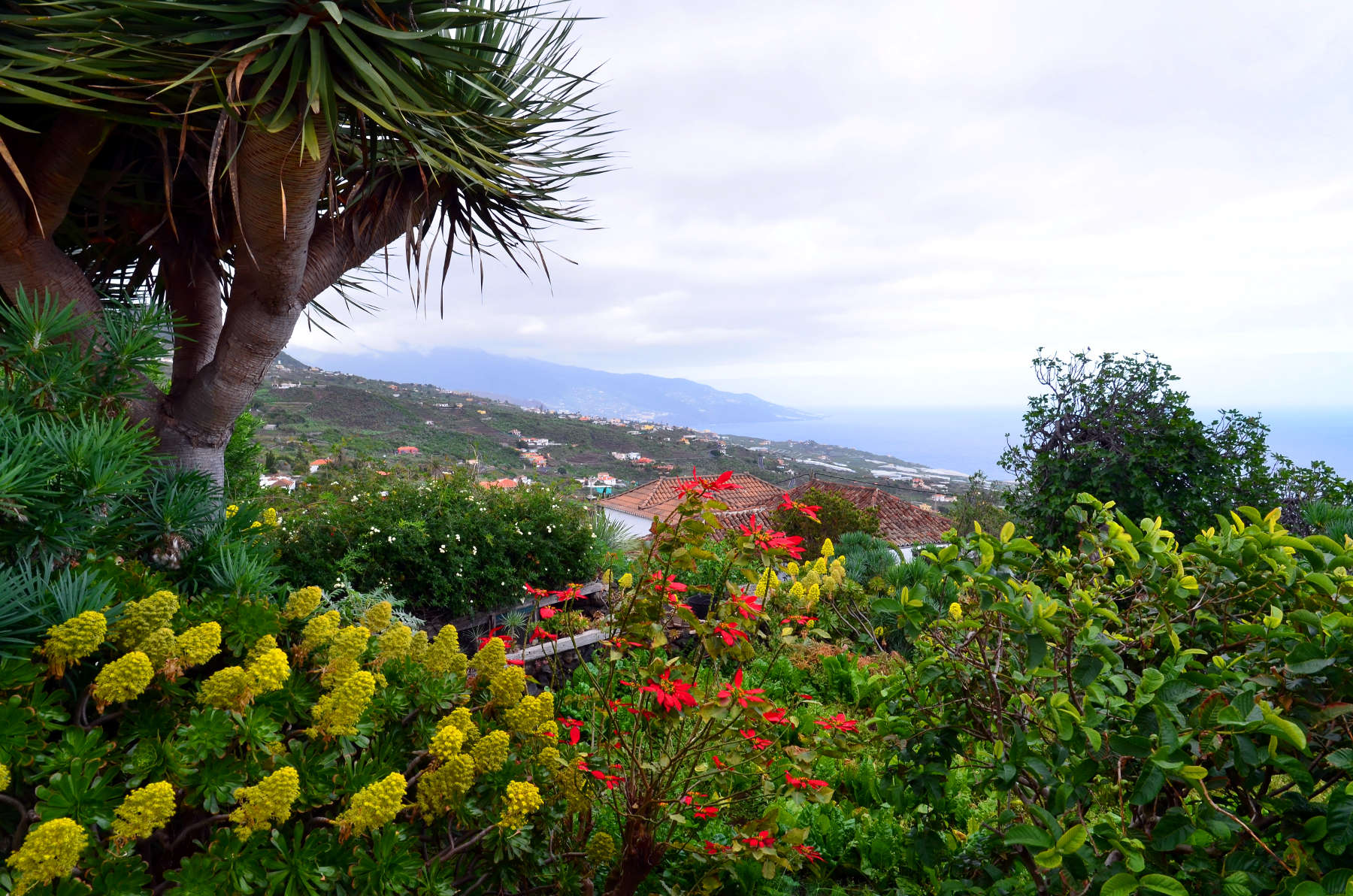 La Palma
